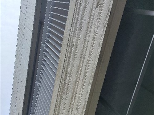 现浇混凝土清水板